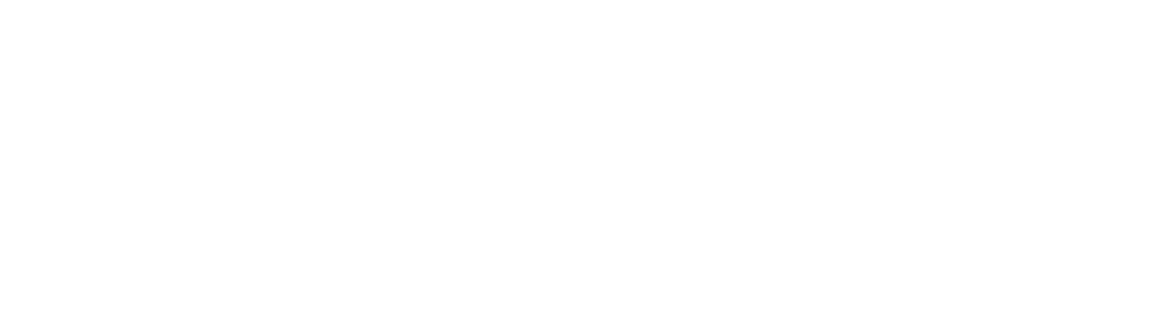 level10 Logo